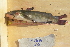  ( - BIOUG03282-E05)  @11 [ ] CreativeCommons - Attribution (2012) CBG Photography Group Centre for Biodiversity Genomics