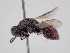  ( - PRC_00011)  @11 [ ] nrr (2022) Unspecified Paolo Rosa
