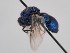  ( - PRC_00021)  @11 [ ] nrr (2022) Unspecified Paolo Rosa