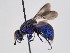  ( - PRC_00106)  @11 [ ] nrr (2022) Unspecified Paolo Rosa