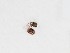  ( - PRC_00240)  @11 [ ] nrr (2022) Unspecified Paolo Rosa