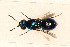  ( - PRC_00370)  @11 [ ] CreativeCommons  Attribution Non-Commercial Share-Alike (2024) Paolo Rosa University of Mons