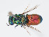  ( - PRC_00753)  @11 [ ] CreativeCommons  Attribution Non-Commercial Share-Alike (2024) Paolo Rosa University of Mons
