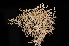  ( - LPRC5750)  @11 [ ] CreativeCommons - Attribution Share-Alike (2024) Remy Poncet Office Francais de la Biodiversite