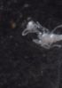  ( - EH107_P015)  @11 [ ] CreativeCommons - Attribution Non-Commercial Share-Alike (2019) Christoph Merkel Technical University of Darmstadt