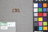  (Lophophora - A021a)  @11 [ ] nrr (2021) Catherine Hulshof VSU
