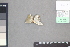  ( - A027c)  @11 [ ] nrr (2021) Catherine Hulshof VSU