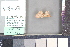  ( - A058c)  @11 [ ] nrr (2021) Catherine Hulshof VSU