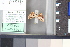  (Antiplecta nr. triangularis - A121a)  @11 [ ] nrr (2021) Catherine Hulshof VSU