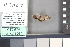  ( - A242a)  @11 [ ] nrr (2021) Catherine Hulshof VSU