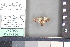  ( - A244b)  @11 [ ] nrr (2021) Catherine Hulshof VSU