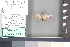  ( - A244c)  @11 [ ] nrr (2021) Catherine Hulshof VSU