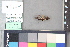  ( - A255b)  @11 [ ] nrr (2021) Catherine Hulshof VSU