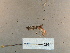  ( - G018d)  @11 [ ] nrr (2022) Aura M. Alonso-Rodríguez University of Vermont