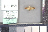  ( - M045b)  @11 [ ] nrr (2021) Catherine Hulshof VSU