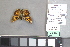  ( - MZUPRRP-In-16635)  @11 [ ] nrr (2021) Catherine Hulshof VSU