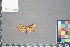  ( - MZUPRRP-In-08926)  @11 [ ] nrr (2021) Catherine Hulshof VSU