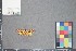  ( - MZUPRRP-In-08947)  @11 [ ] nrr (2021) Catherine Hulshof VSU