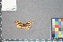  ( - MZUPRRP-In-08950)  @11 [ ] nrr (2021) Catherine Hulshof VSU