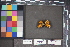  ( - MZUPRRP-In-15837)  @11 [ ] nrr (2021) Catherine Hulshof VSU