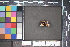  ( - MZUPRRP-In-15863)  @11 [ ] nrr (2021) Catherine Hulshof VSU