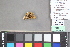  ( - MZUPRRP-In-15869)  @11 [ ] nrr (2021) Catherine Hulshof VSU