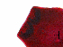  (Triaenophorus nodulosus - T.IN.Em.MON.5.3)  @11 [ ] Unspecified (default): All Rights Reserved  Unspecified Unspecified
