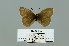  ( - Boz10.036)  @12 [ ] Copyright (2010) Unspecified Unspecified