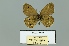  ( - Boz10.038)  @12 [ ] Copyright (2010) Unspecified Unspecified