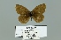  ( - Boz10.039)  @13 [ ] Copyright (2010) Unspecified Unspecified
