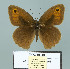  ( - Boz10.001)  @13 [ ] Copyright (2010) Unspecified Unspecified