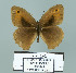  ( - Boz10.002)  @13 [ ] Copyright (2010) Unspecified Unspecified