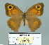  ( - Boz10.003)  @13 [ ] Copyright (2010) Unspecified Unspecified