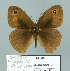  ( - Boz10.009)  @13 [ ] Copyright (2010) Unspecified Unspecified