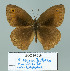  ( - Boz10.010)  @12 [ ] Copyright (2010) Unspecified Unspecified