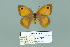  ( - Boz10.014)  @11 [ ] Copyright (2010) Unspecified Unspecified