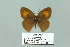  ( - Boz10.016)  @12 [ ] Copyright (2010) Unspecified Unspecified