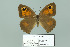  ( - Boz10.017)  @12 [ ] Copyright (2010) Unspecified Unspecified