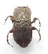  ( - EBLA_BC543)  @11 [ ] Unspecified (default): All Rights Reserved  Unspecified Unspecified