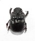  ( - EBLA_BC597)  @11 [ ] Unspecified (default): All Rights Reserved  Unspecified Unspecified