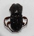  ( - EBLA_BC620)  @11 [ ] Unspecified (default): All Rights Reserved  Unspecified Unspecified