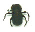  ( - EBLA_BC631)  @11 [ ] Unspecified (default): All Rights Reserved  Unspecified Unspecified