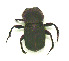  ( - EBLA_BC633)  @11 [ ] Unspecified (default): All Rights Reserved  Unspecified Unspecified