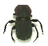  ( - EBLA_BC634)  @11 [ ] Unspecified (default): All Rights Reserved  Unspecified Unspecified