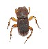  ( - EBLA_BC638)  @11 [ ] Unspecified (default): All Rights Reserved  Unspecified Unspecified
