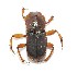  ( - EBLA_BC640)  @11 [ ] Unspecified (default): All Rights Reserved  Unspecified Unspecified