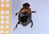  ( - EBLA_BC777)  @11 [ ] Unspecified (default): All Rights Reserved  Unspecified Unspecified