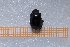  ( - EBLA_BC778)  @11 [ ] Unspecified (default): All Rights Reserved  Unspecified Unspecified
