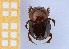  ( - EBLA_BC815)  @11 [ ] Unspecified (default): All Rights Reserved  Unspecified Unspecified
