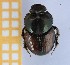  ( - EBLA_BC828)  @11 [ ] Unspecified (default): All Rights Reserved  Unspecified Unspecified